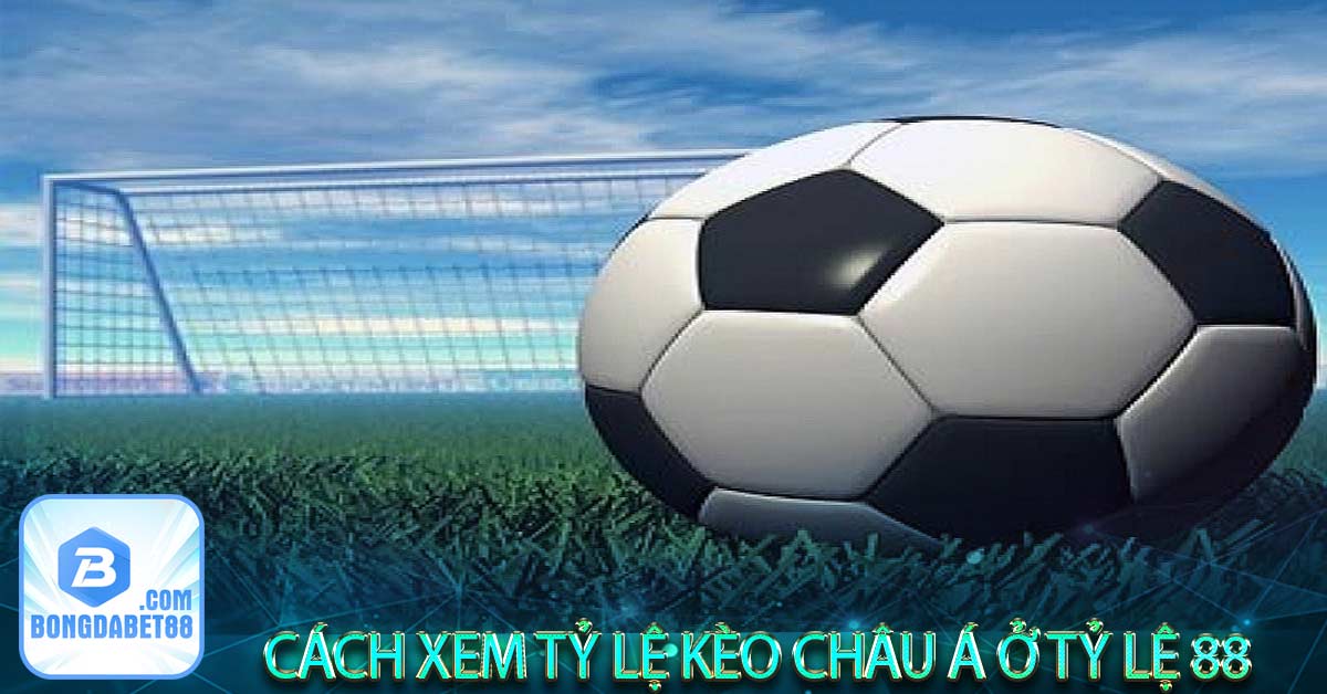 Cách xem tỷ lệ kèo Châu Á ở tỷ lệ 88