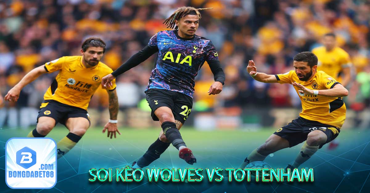 Phan tich suc manh Wolves vs Tottenham moi nhat