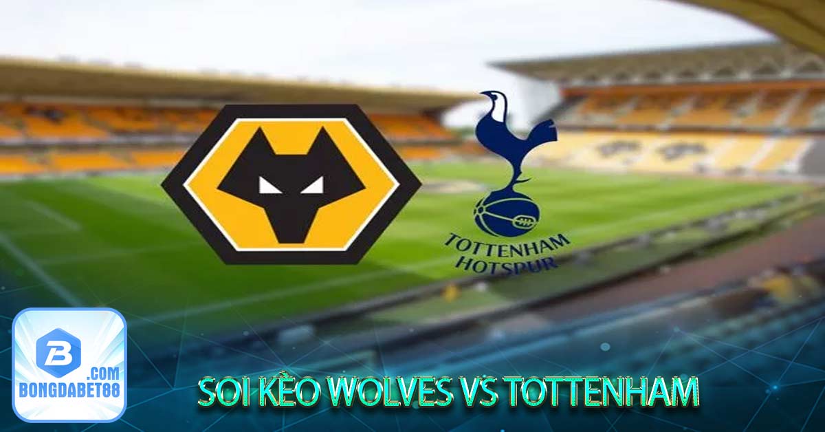 Soi kèo Wolves vs Tottenham