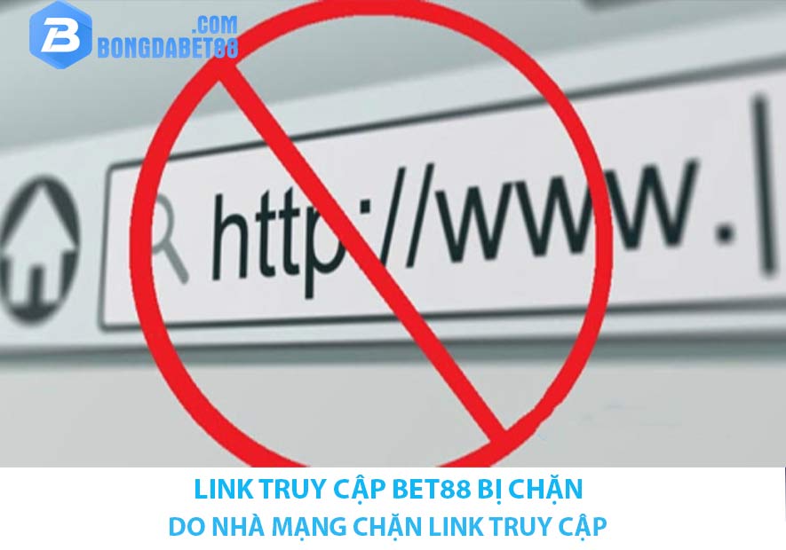 do nha mang chan link truy cap