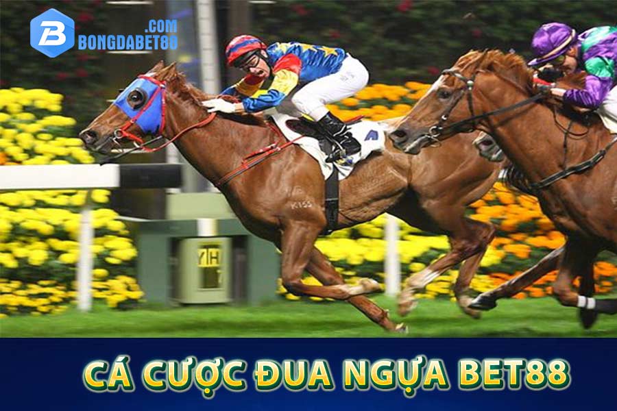 Cá cược Đua ngựa Bet88