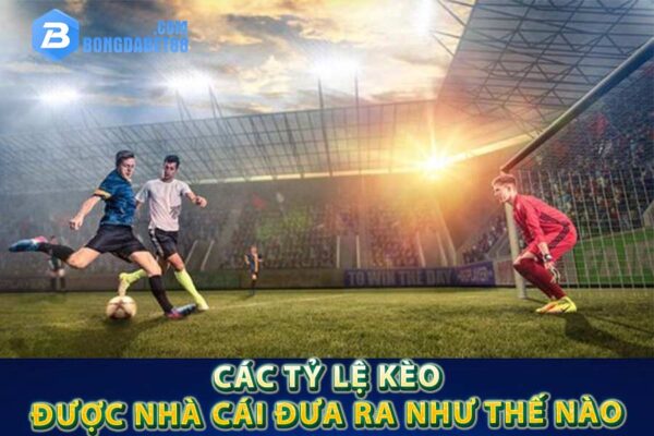 Các tỷ lệ kèo được nhà cái đưa ra thế nào