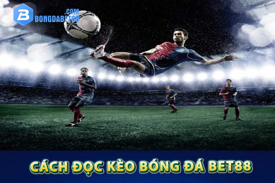 Cách đọc kèo bóng đá bet88