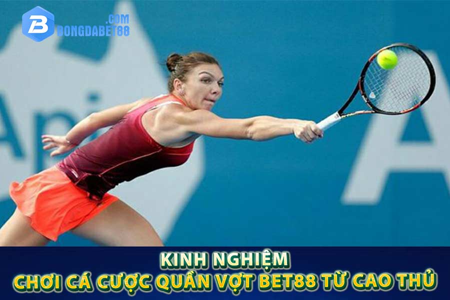 Kinh nghiệm chơi cá cược quần vợt Bet88 từ cao thủ